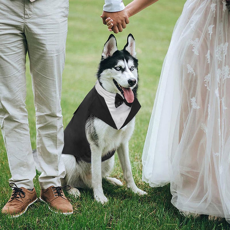 2024 Dog Shirt Bow Tie and Pirate Outfit