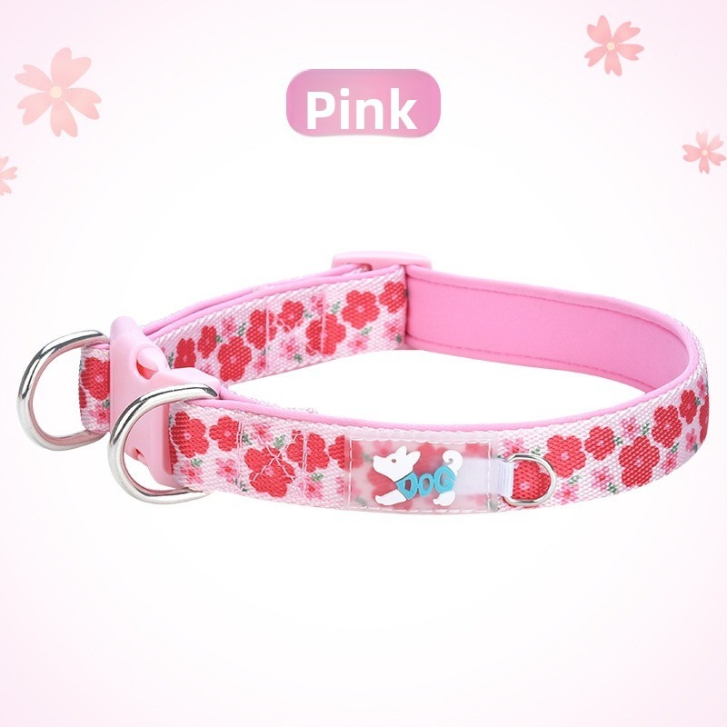 Durable Dog Collar with Leash Attachment