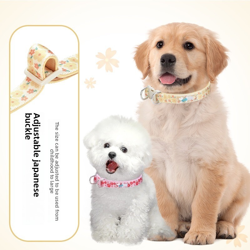 Durable Dog Collar with Leash Attachment