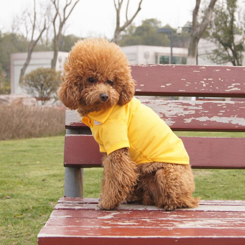 2025 Dog Polo Shirt Multicolor Soft
