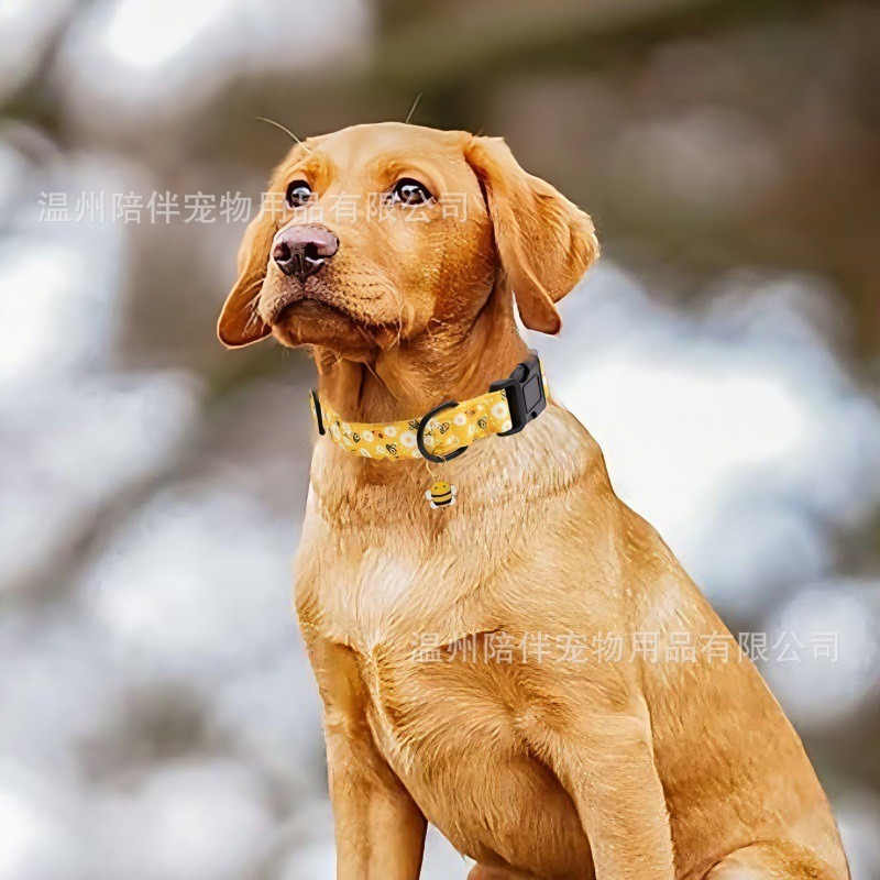 Bee Print Adjustable Dog Collar