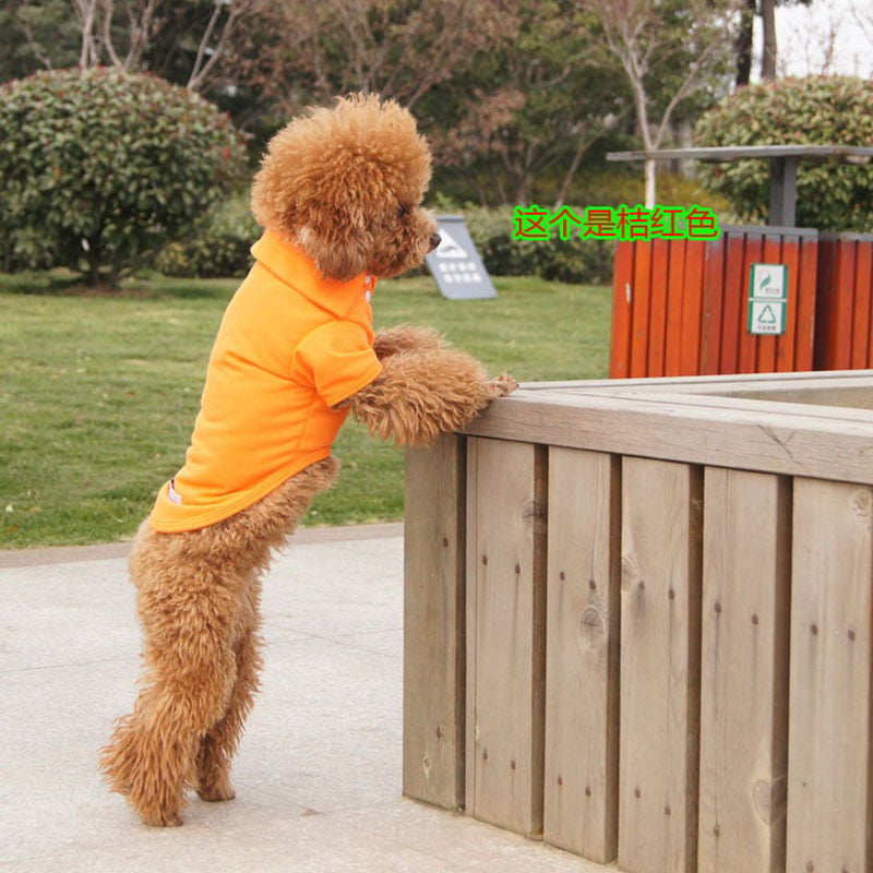 2025 Dog Polo Shirt Multicolor Soft