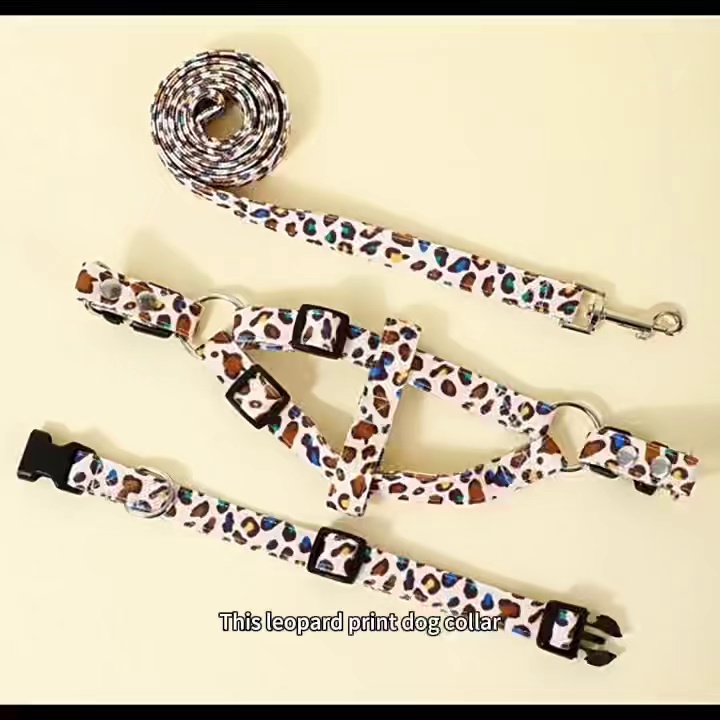 Leopard Print Dog & Cat Collar