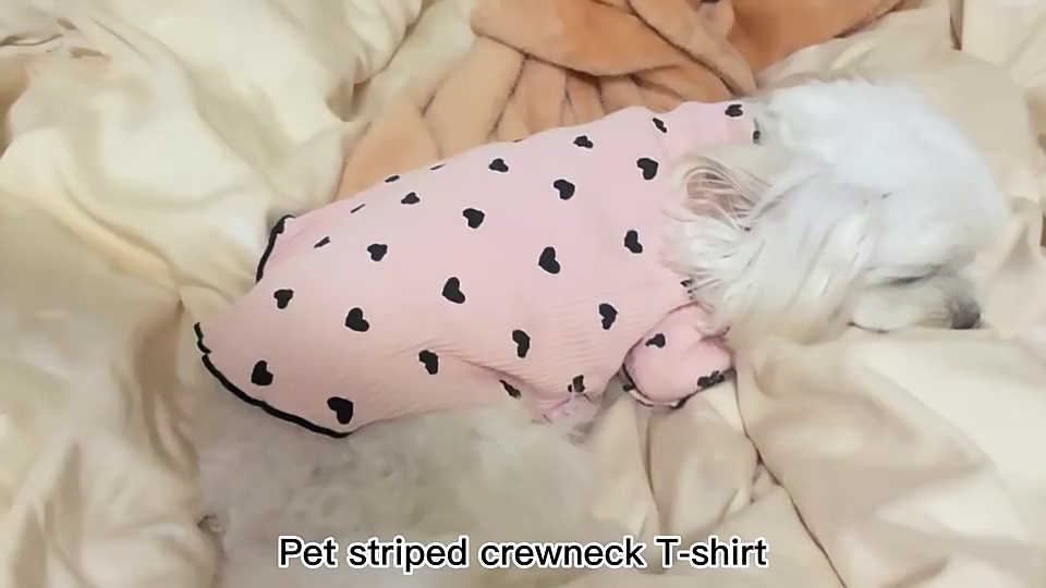 2025 Dog Pajamas Fleece Four-Leg Jumpsuit