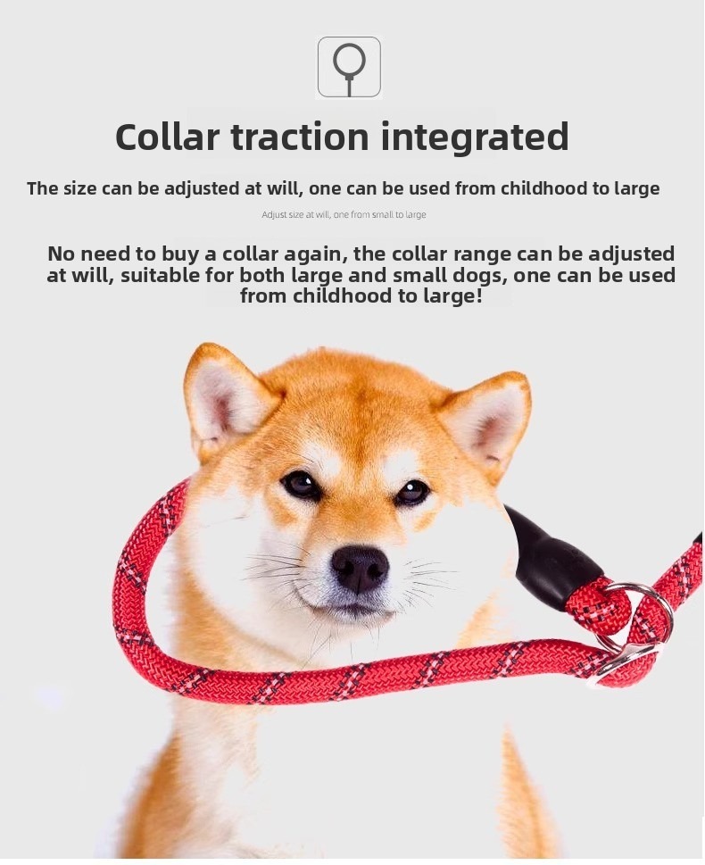 Reflective Dog Walking Leash