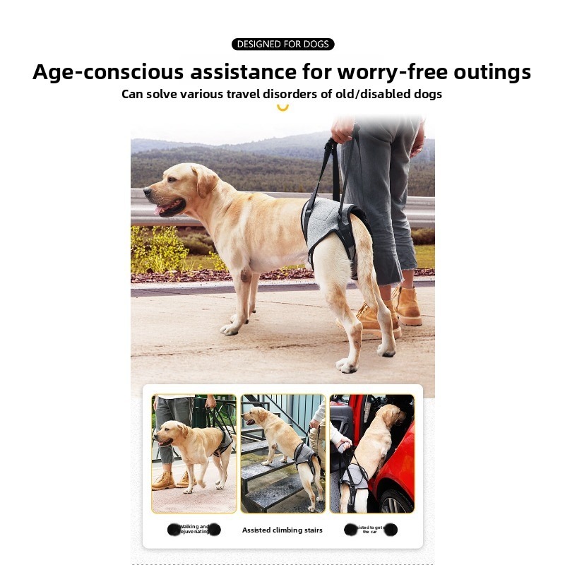 Dog Hind Leg Support Harness