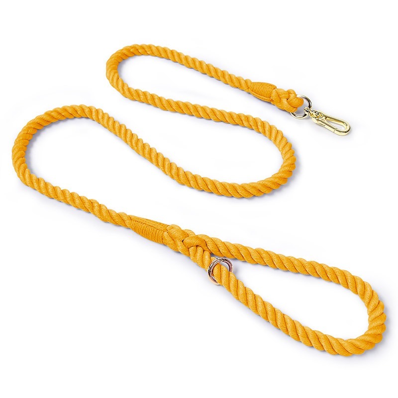Colorful Woven Cotton Dog Leash