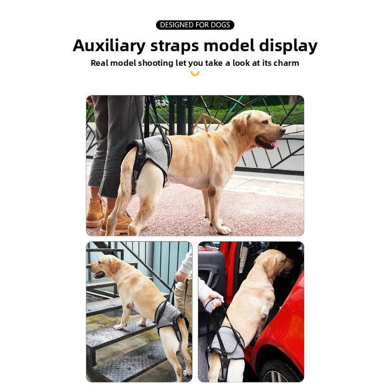 Dog Hind Leg Support Harness