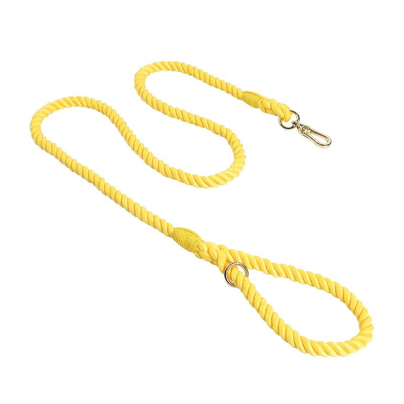 Colorful Woven Cotton Dog Leash