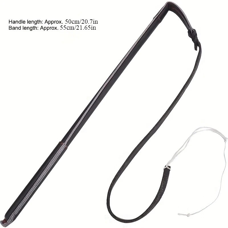 Dog Training Agitation Whip