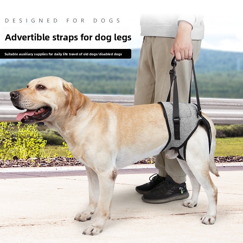 Dog Hind Leg Support Harness