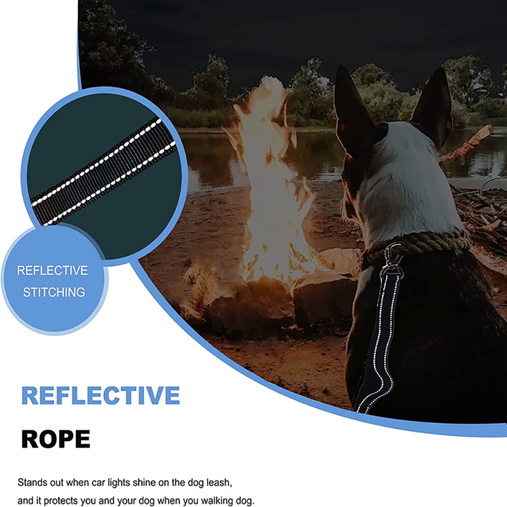 Elastic Shock-Absorbing Dog Leash