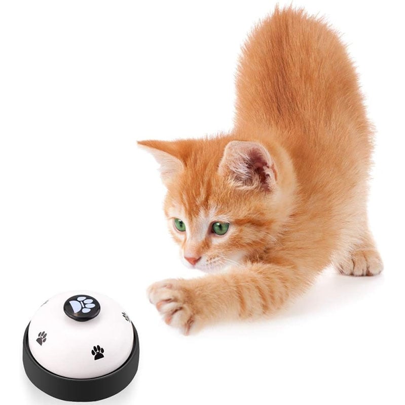 Pet Voice Recording Training Button