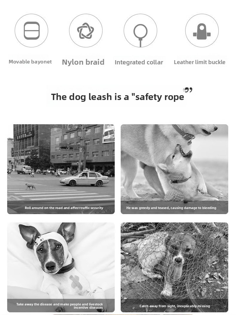 Reflective Dog Walking Leash