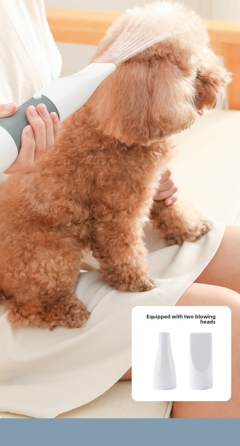 Pet Grooming Dryer 3 in 1 with Slicker Brush