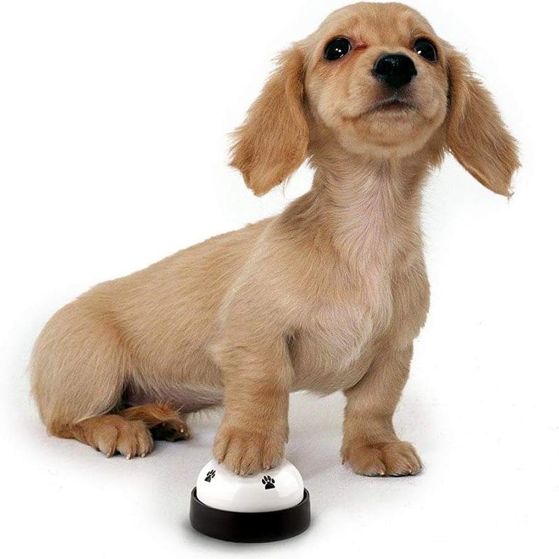 Pet Voice Recording Training Button