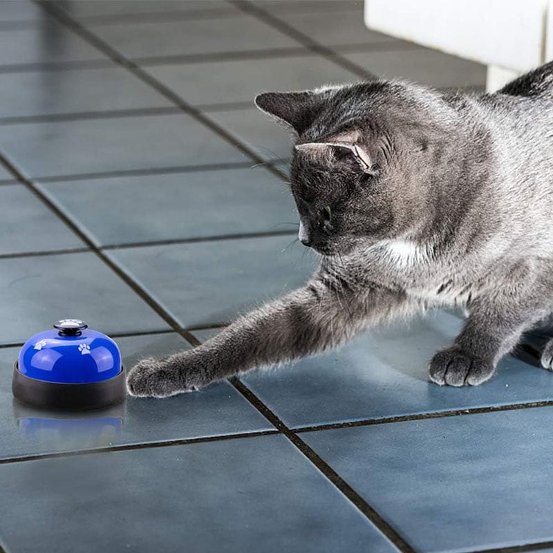 Pet Voice Recording Training Button