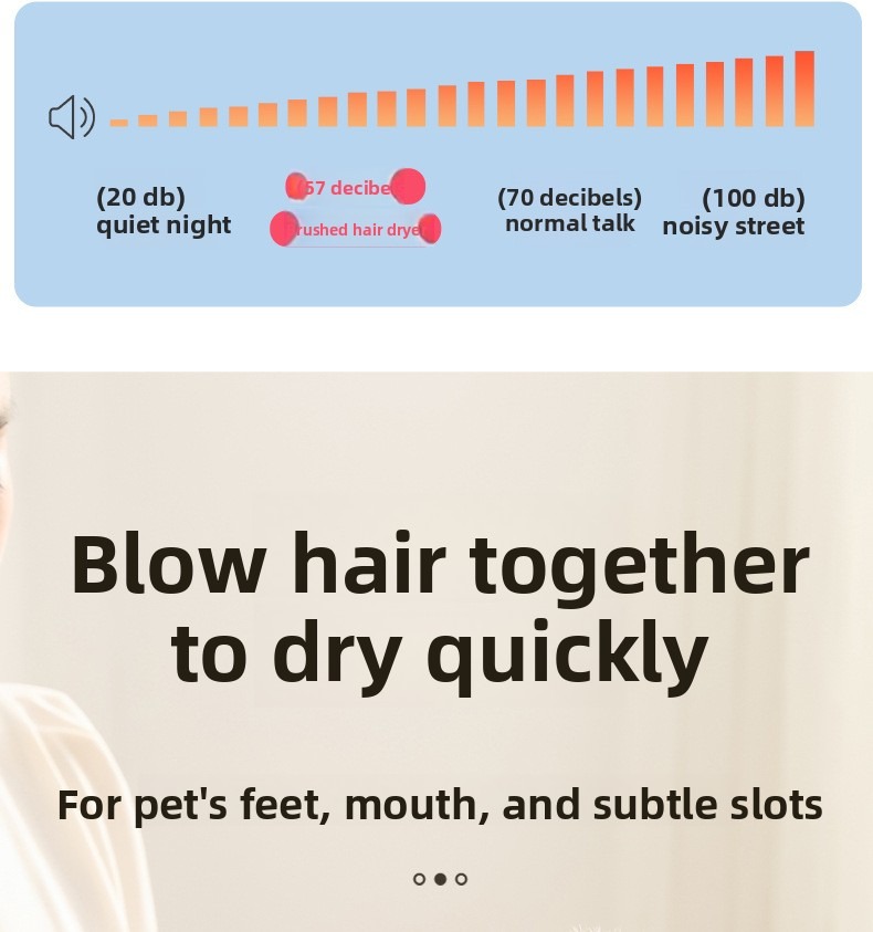 Pet Grooming Dryer 3 in 1 with Slicker Brush