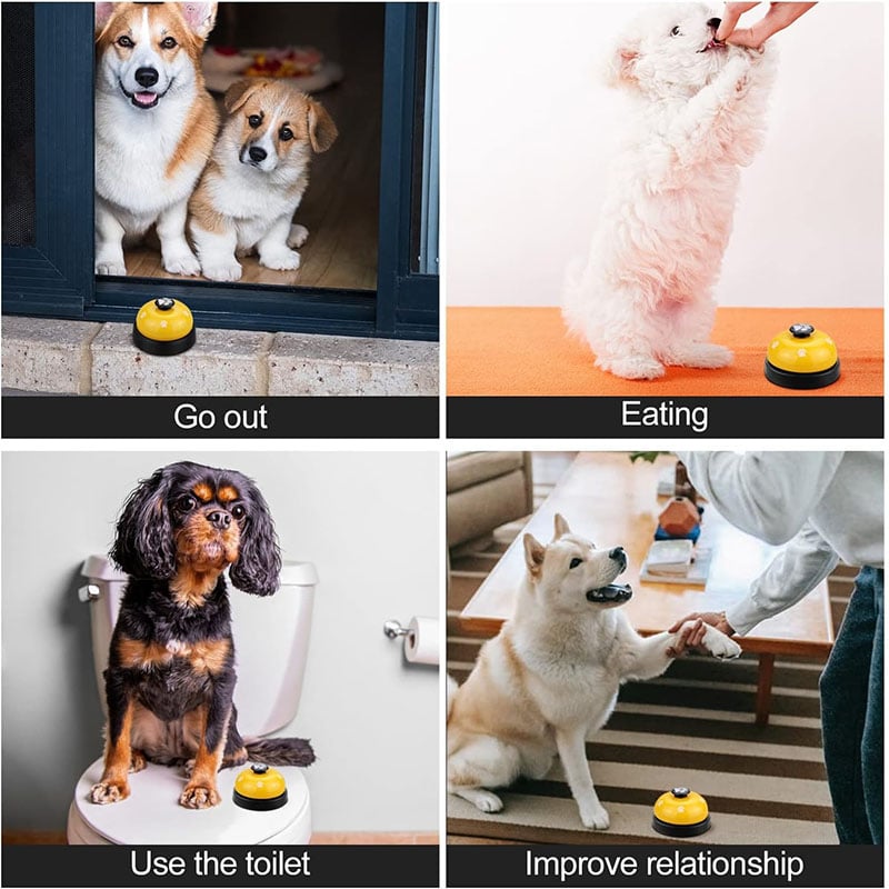 Pet Voice Recording Training Button
