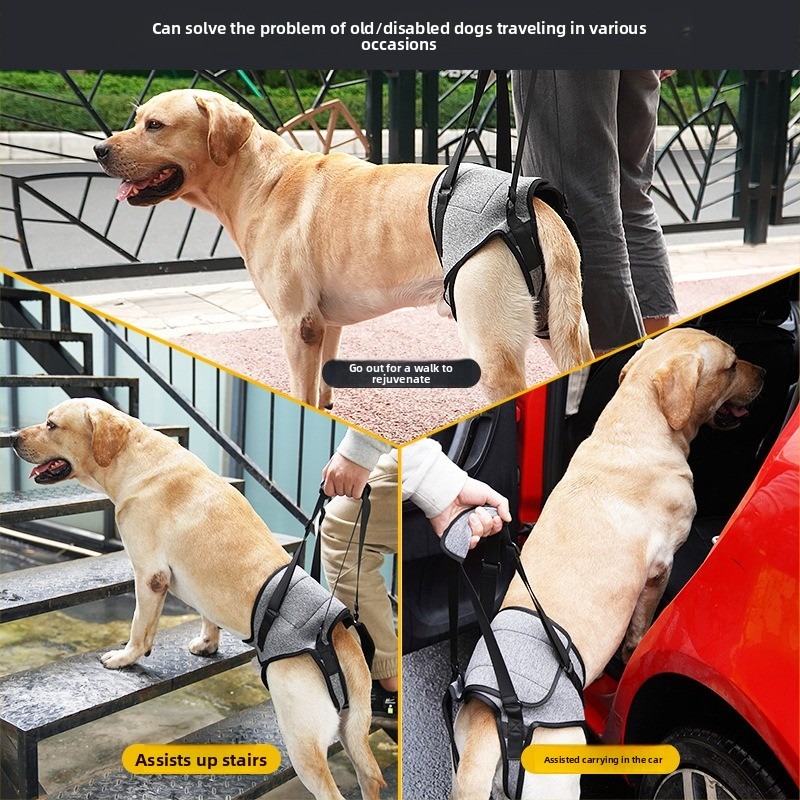 Dog Hind Leg Support Harness