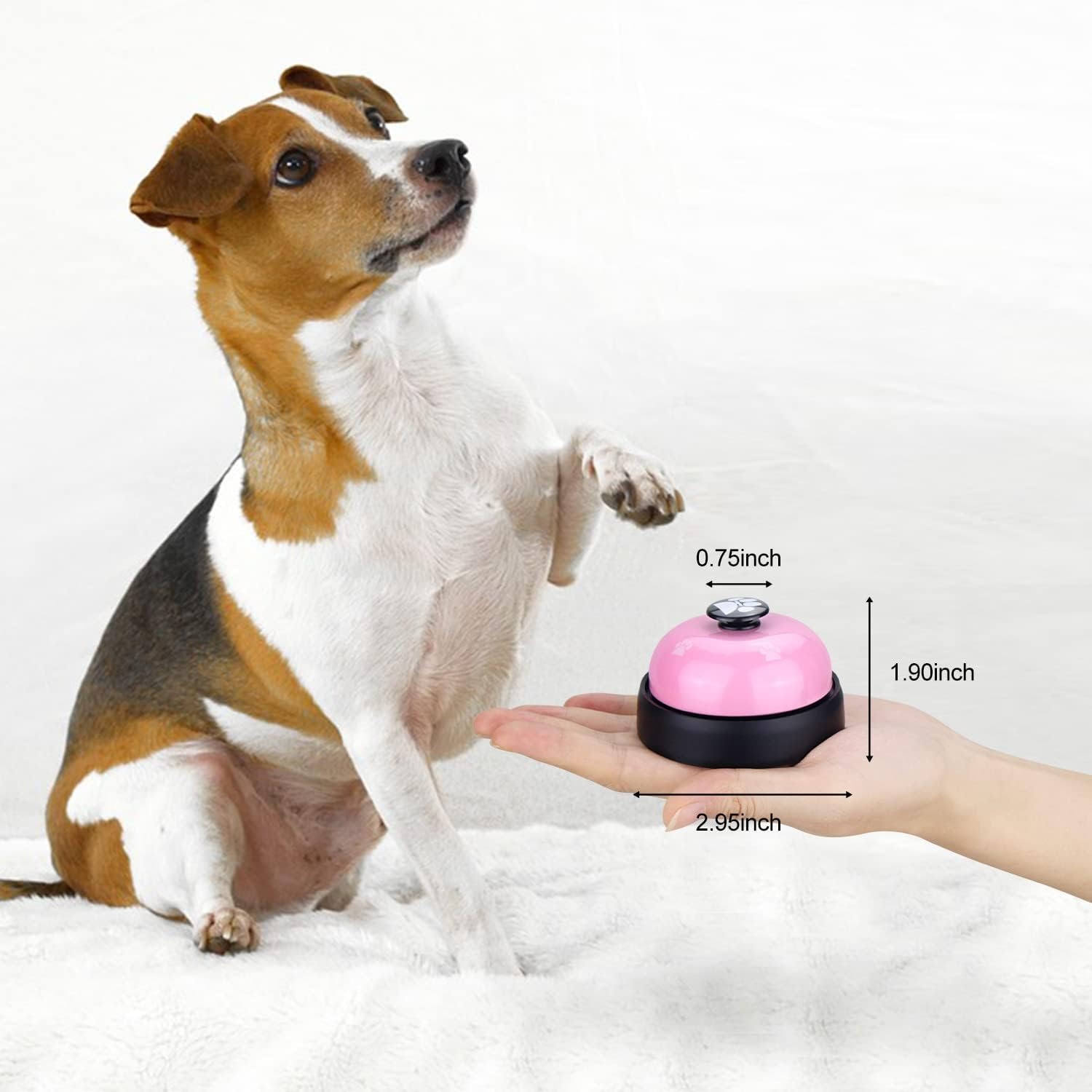 Pet Voice Recording Training Button