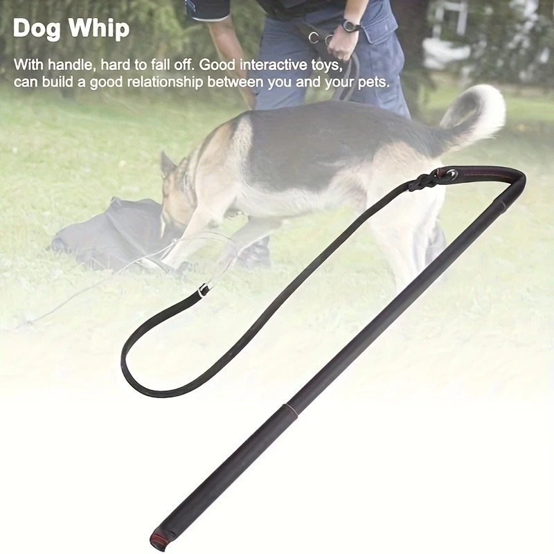 Dog Training Agitation Whip