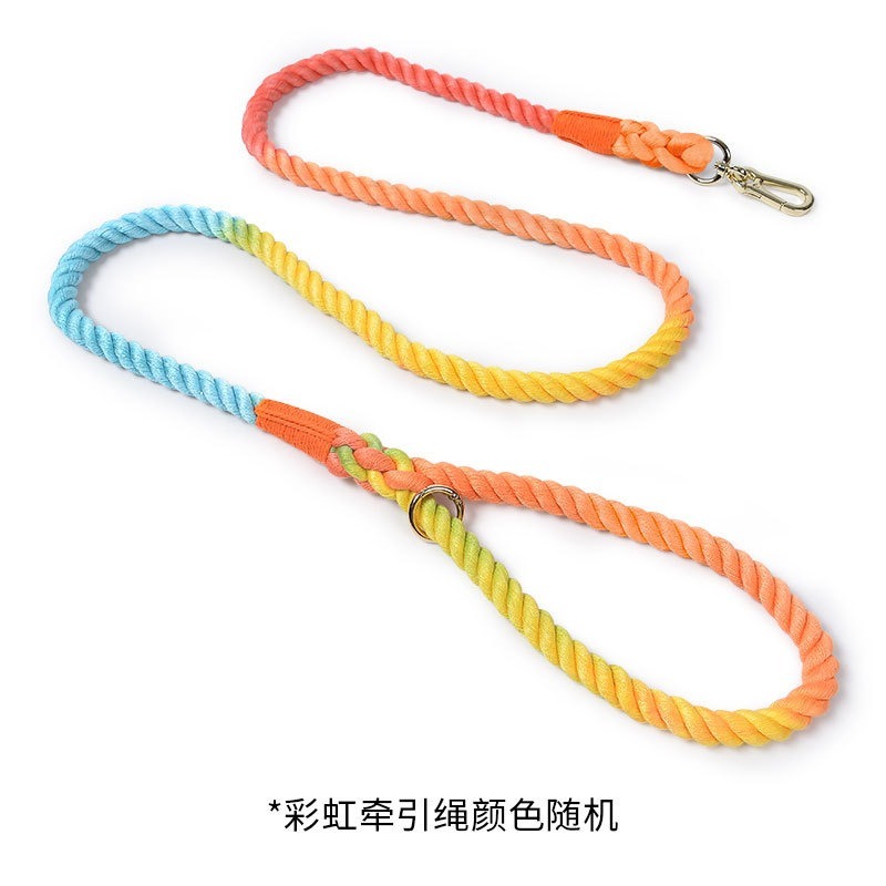 Colorful Woven Cotton Dog Leash