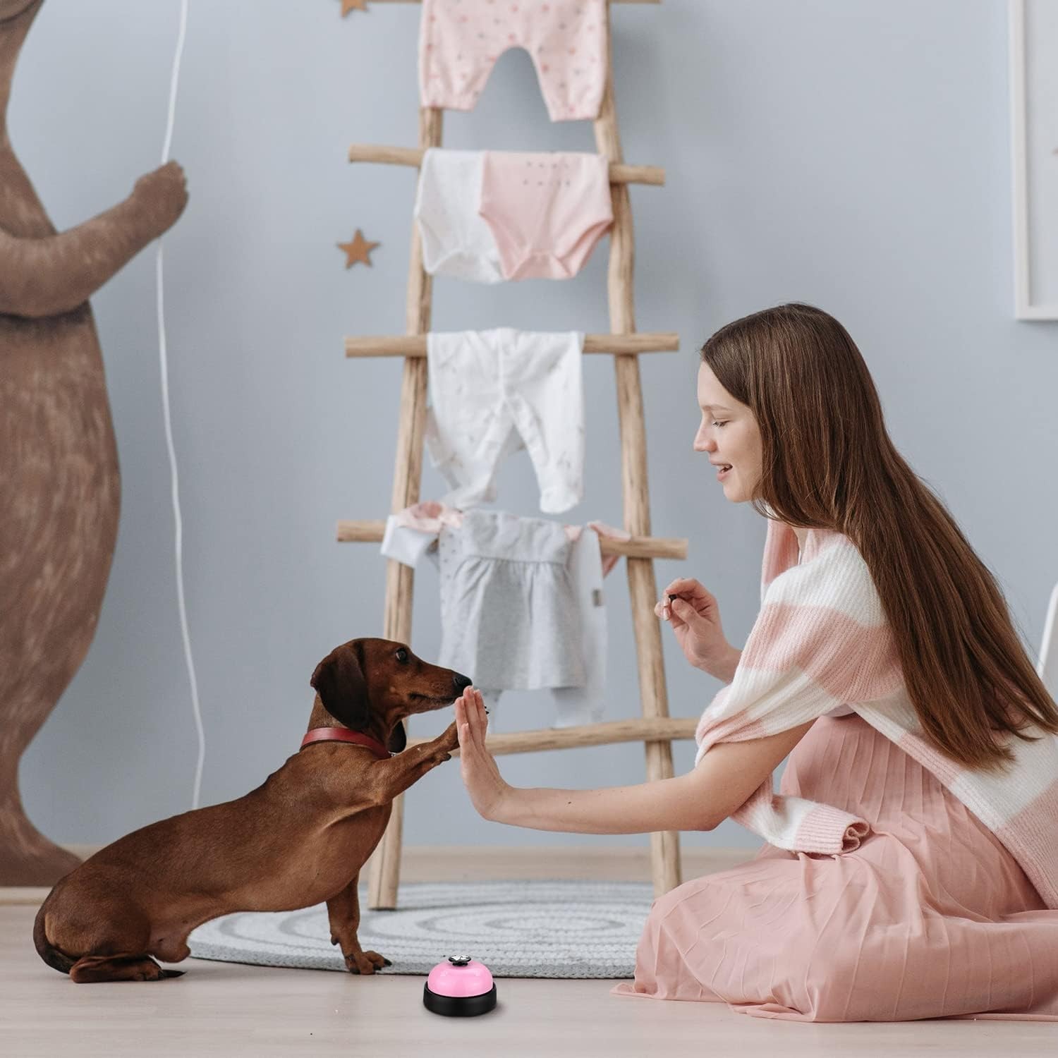 Pet Voice Recording Training Button