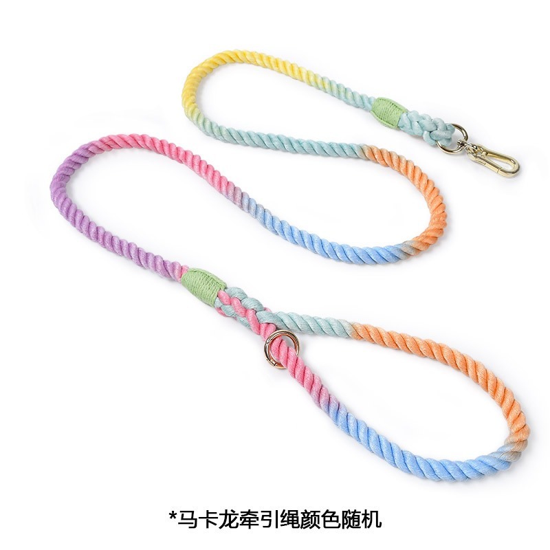 Colorful Woven Cotton Dog Leash