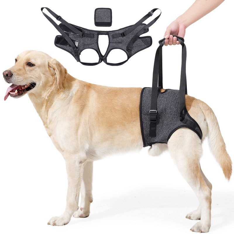 Dog Hind Leg Support Harness