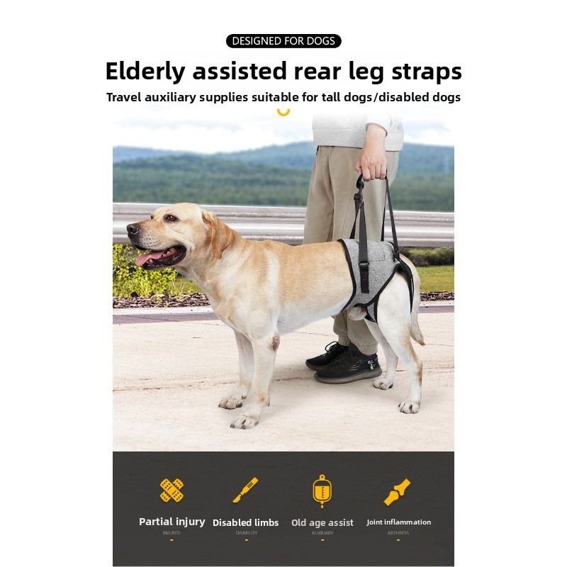 Dog Hind Leg Support Harness