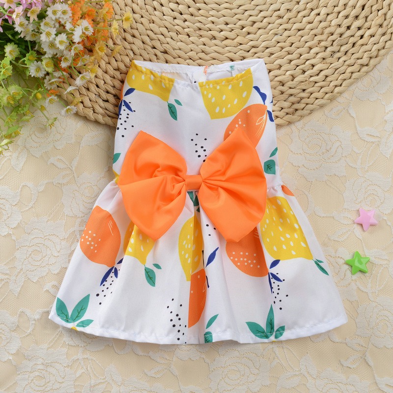 Summer Floral Princess Dog Dress