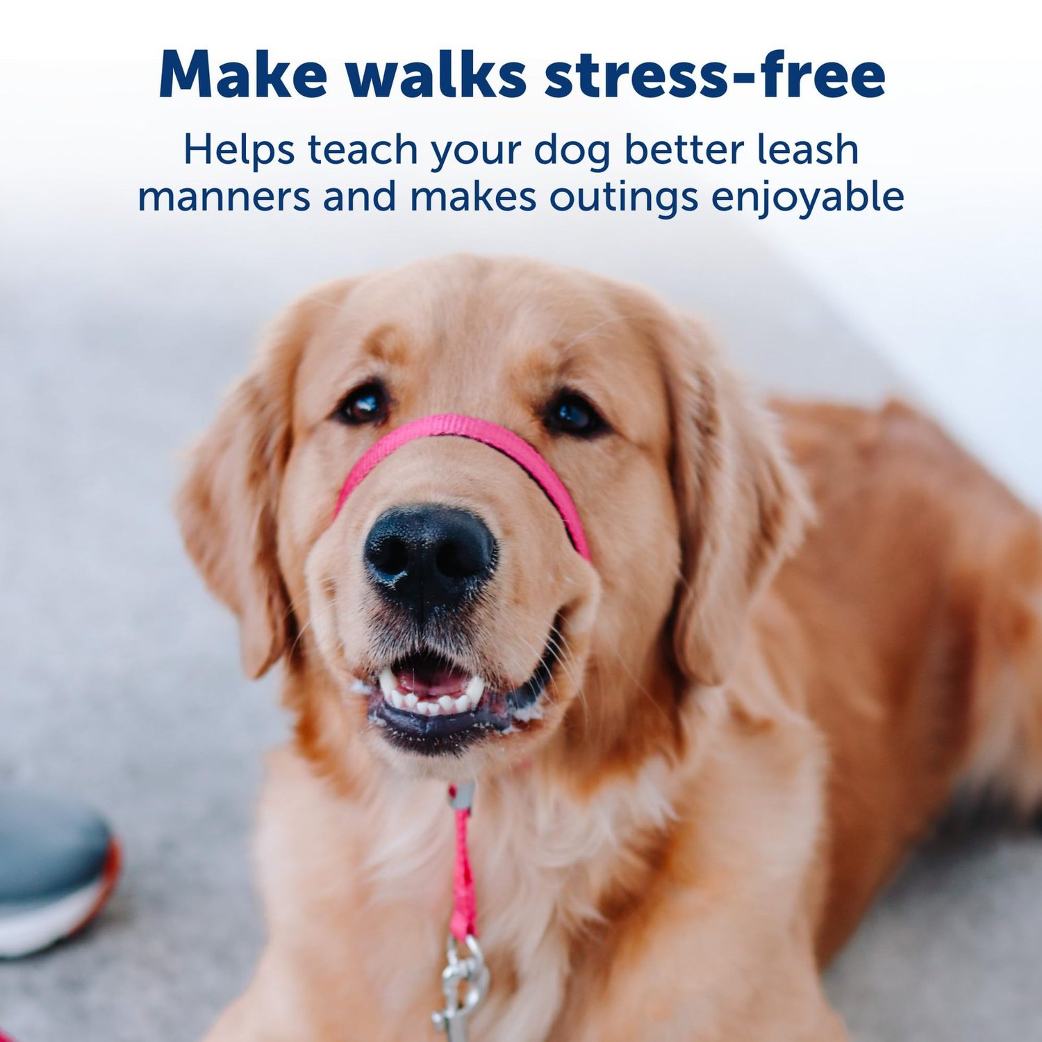 No-Pull Adjustable Dog Headcollar