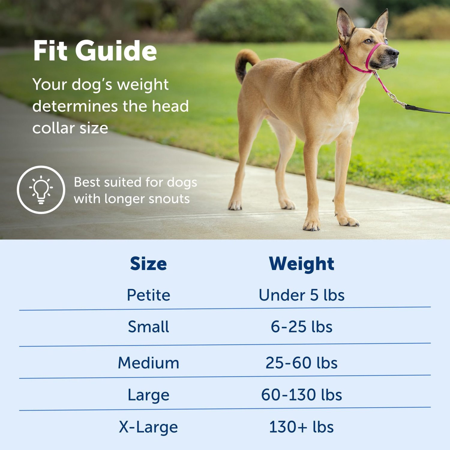 No-Pull Adjustable Dog Headcollar