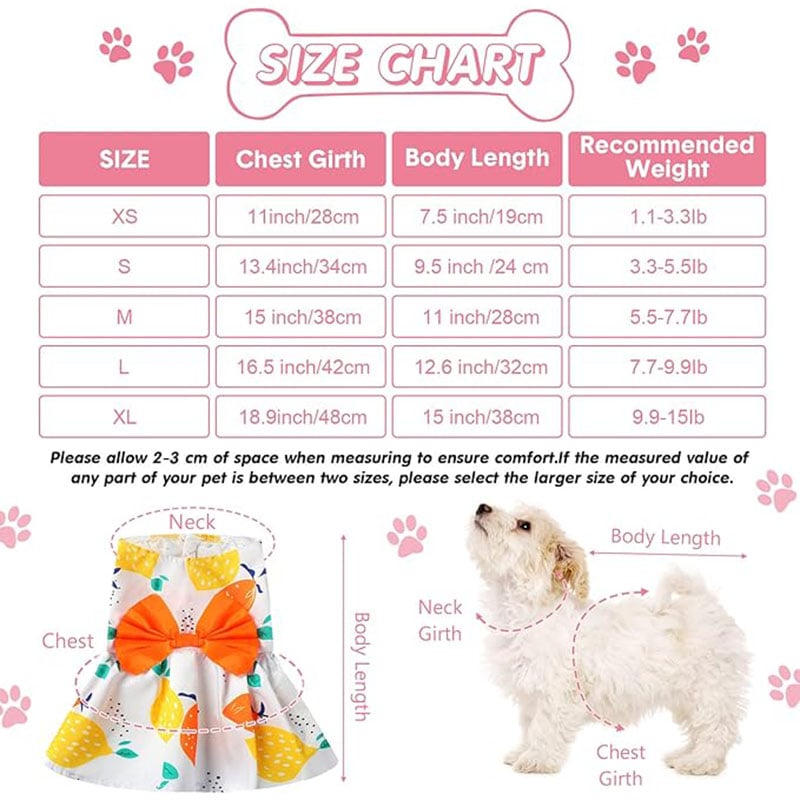 Summer Floral Princess Dog Dress