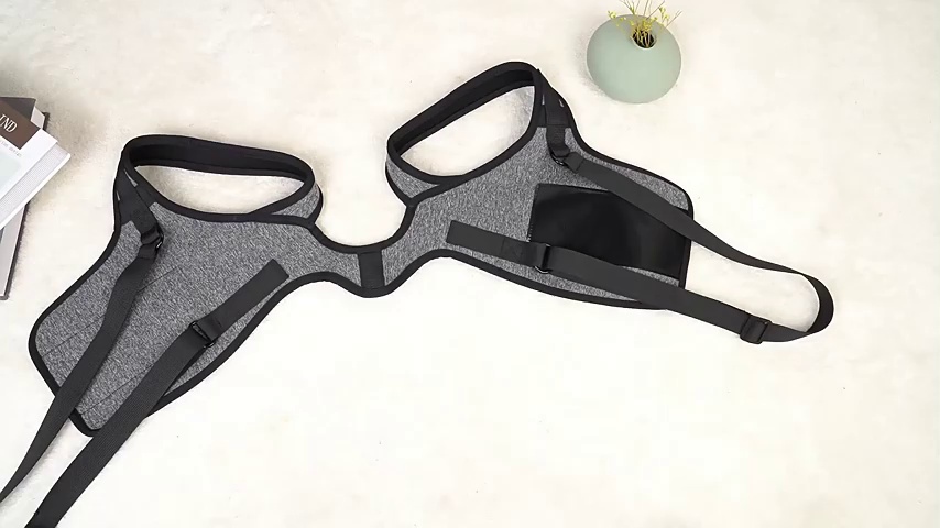 Dog Hind Leg Support Harness