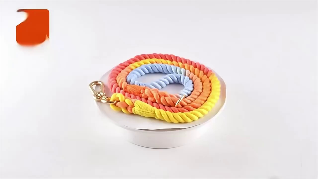 Colorful Woven Cotton Dog Leash