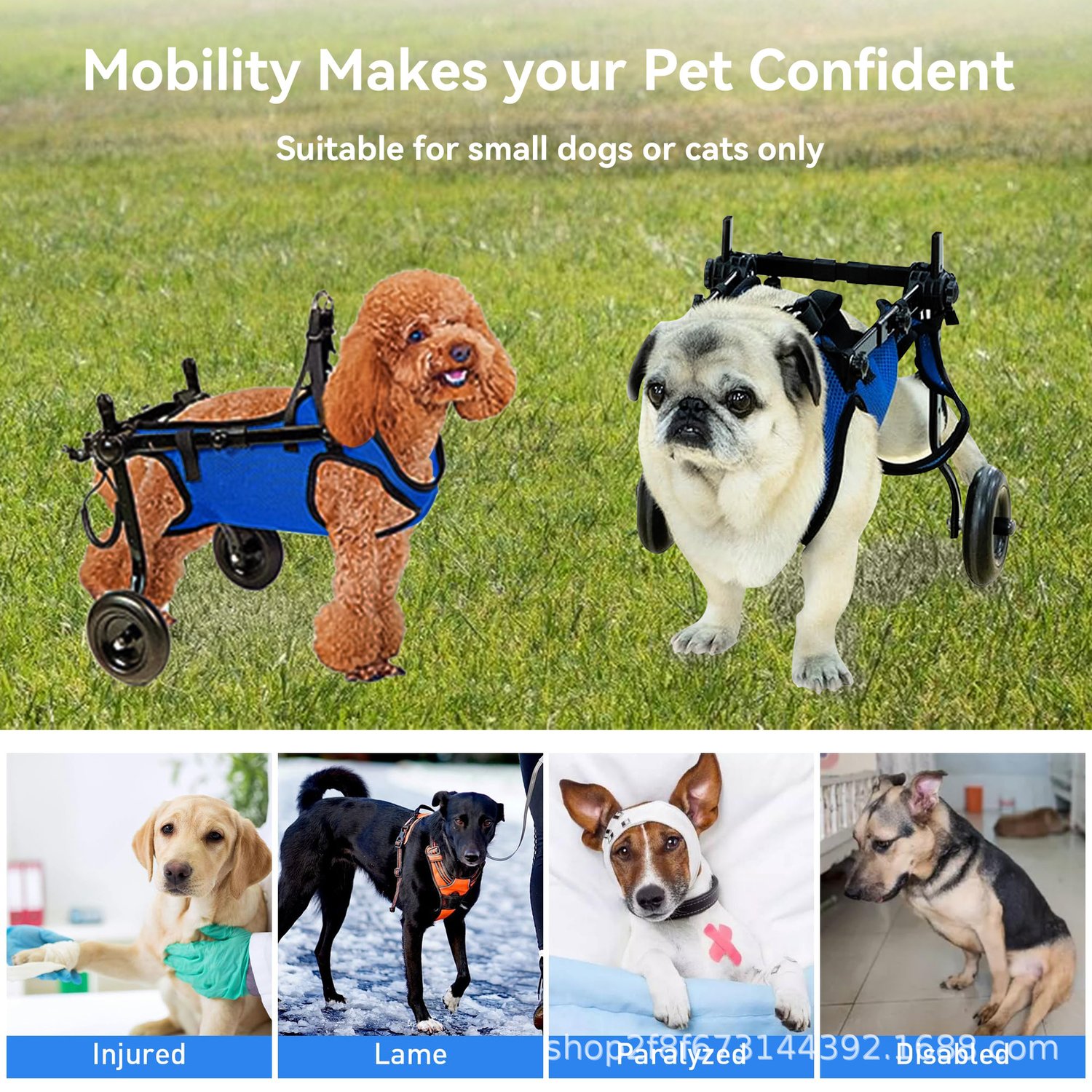 Pet Rehabilitation Scooter