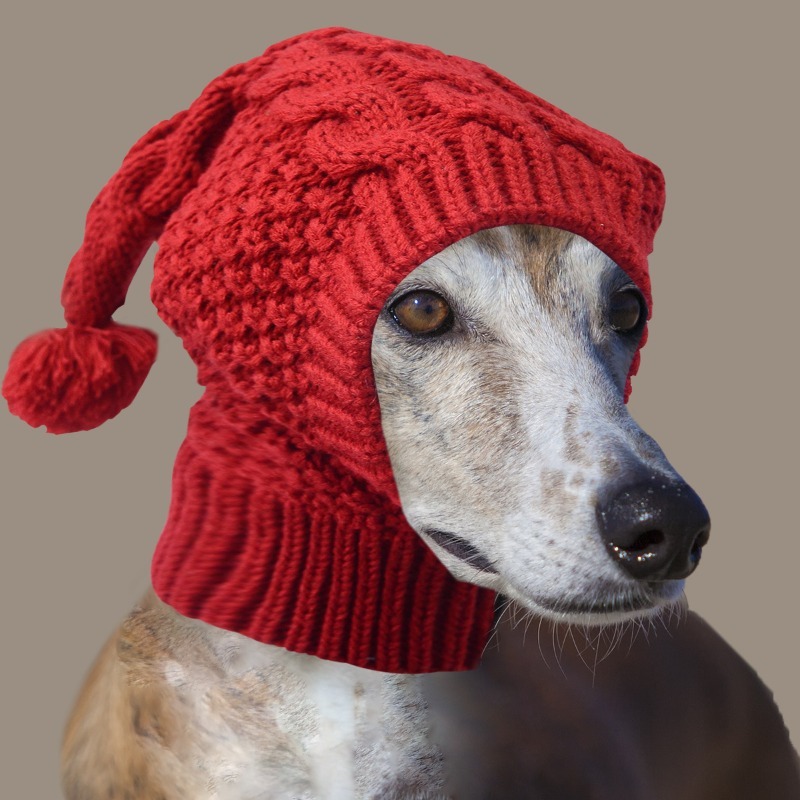 Dog Hat