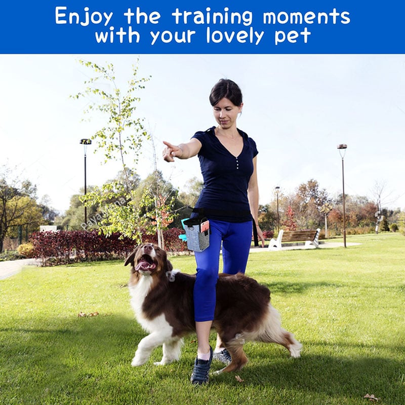 Portable Outdoor Dog Food and Snack Training Pouch