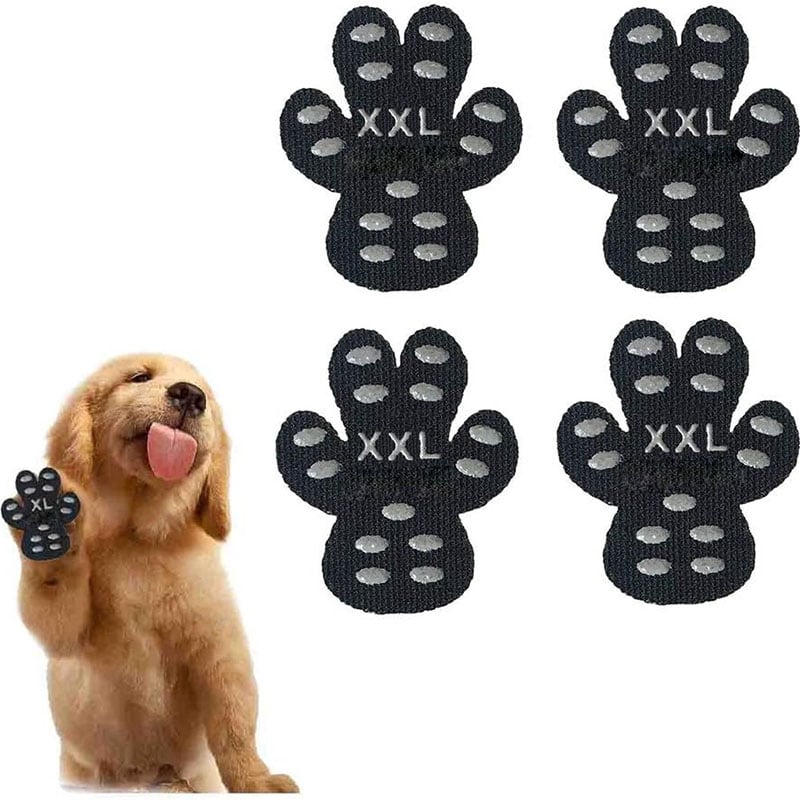 Breathable Summer Casual Pet Footwear