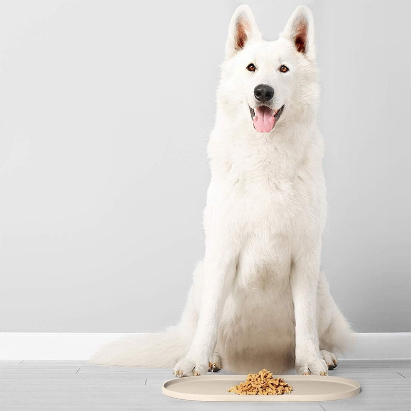 Splash-Proof Anti-Slip Pet Bowl Mat