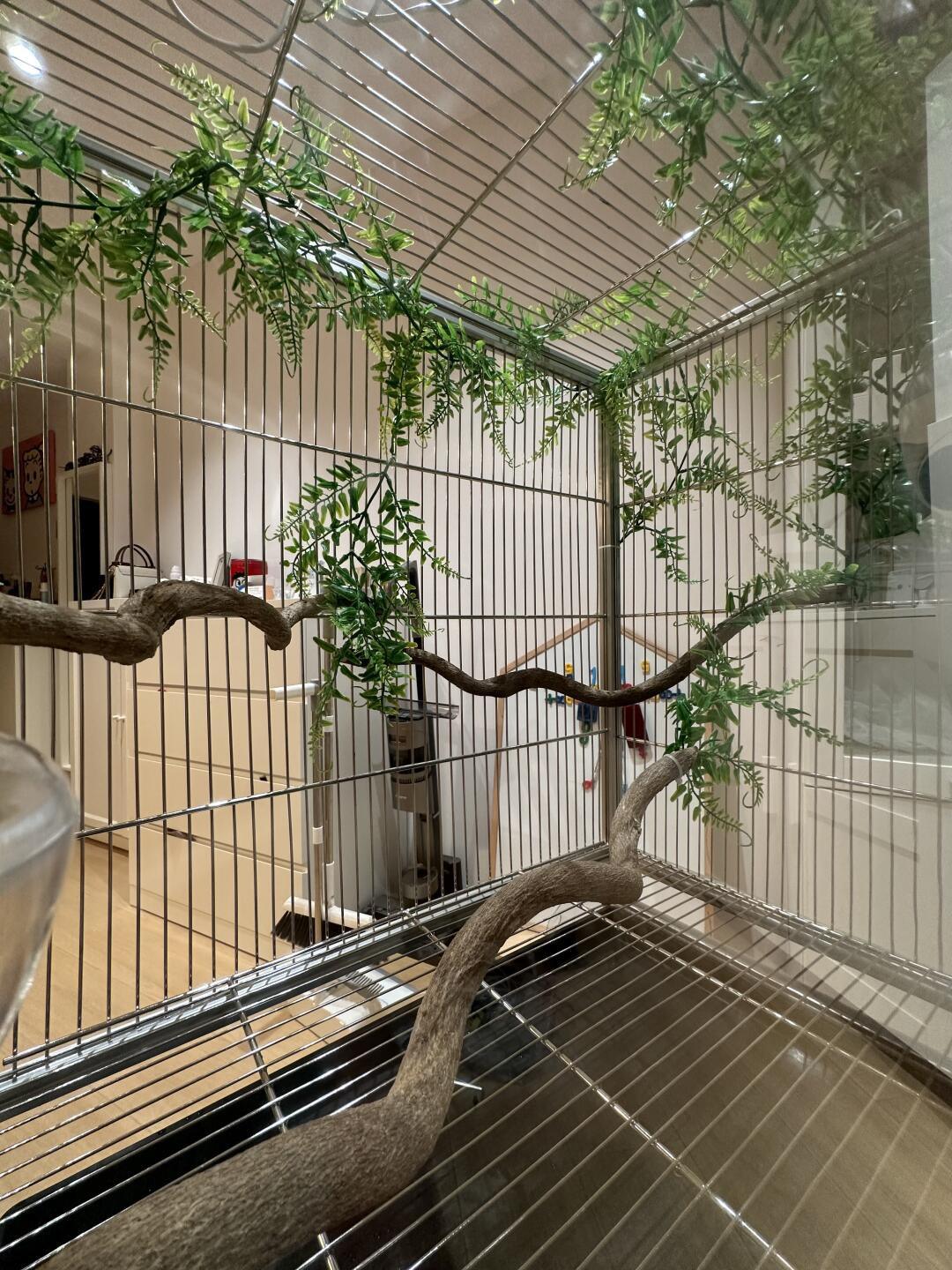 Customizable Double Door Bird Cage with Clearance