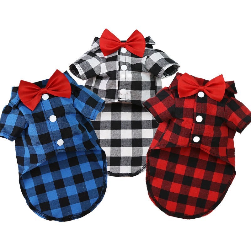 Bunny Harness and Leash Set with Spring Print