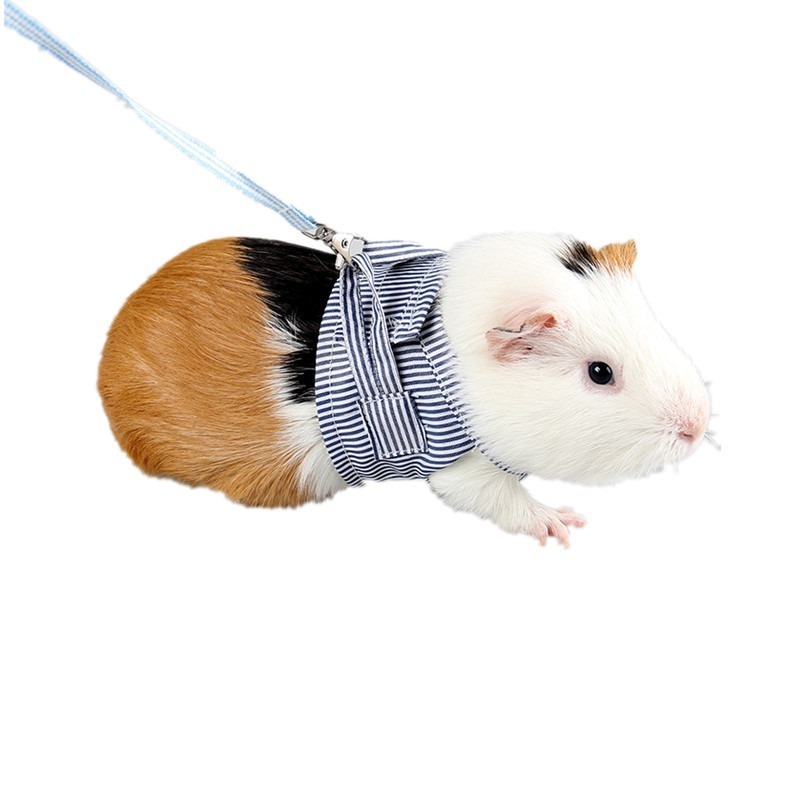 Small Pet Clothes Harness Leash Floral Summer Set