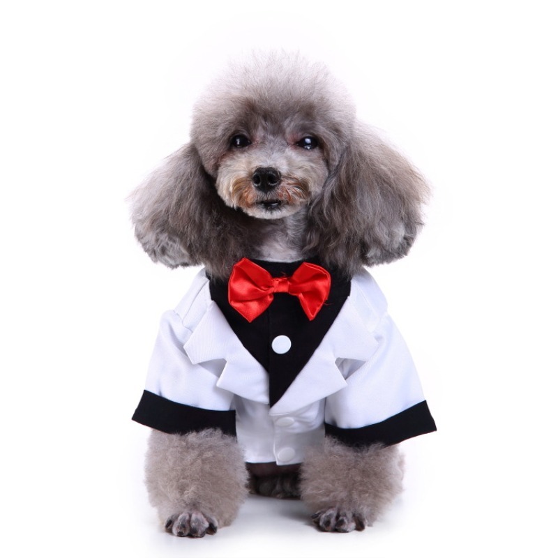 Warm Winter Pet Clothes for Cats and Dogs