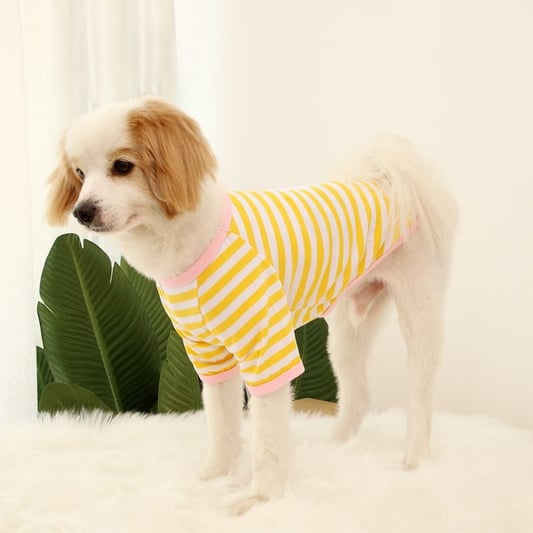 Striped Dog T-Shirt Summer Pet Clothes