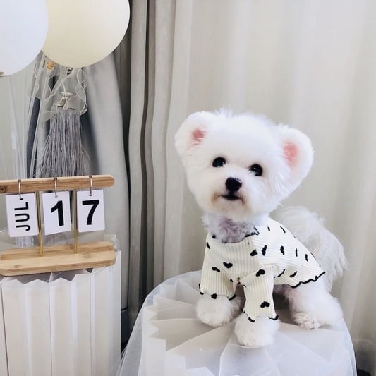 2025 Dog Pajamas Fleece Four-Leg Jumpsuit