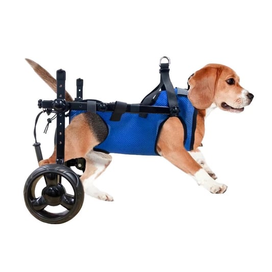 Pet Rehabilitation Scooter