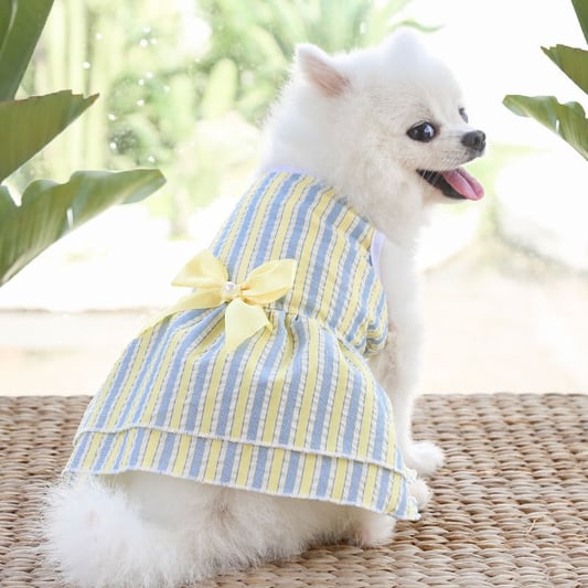 Luxury Female Dog Apparel Princess Dress